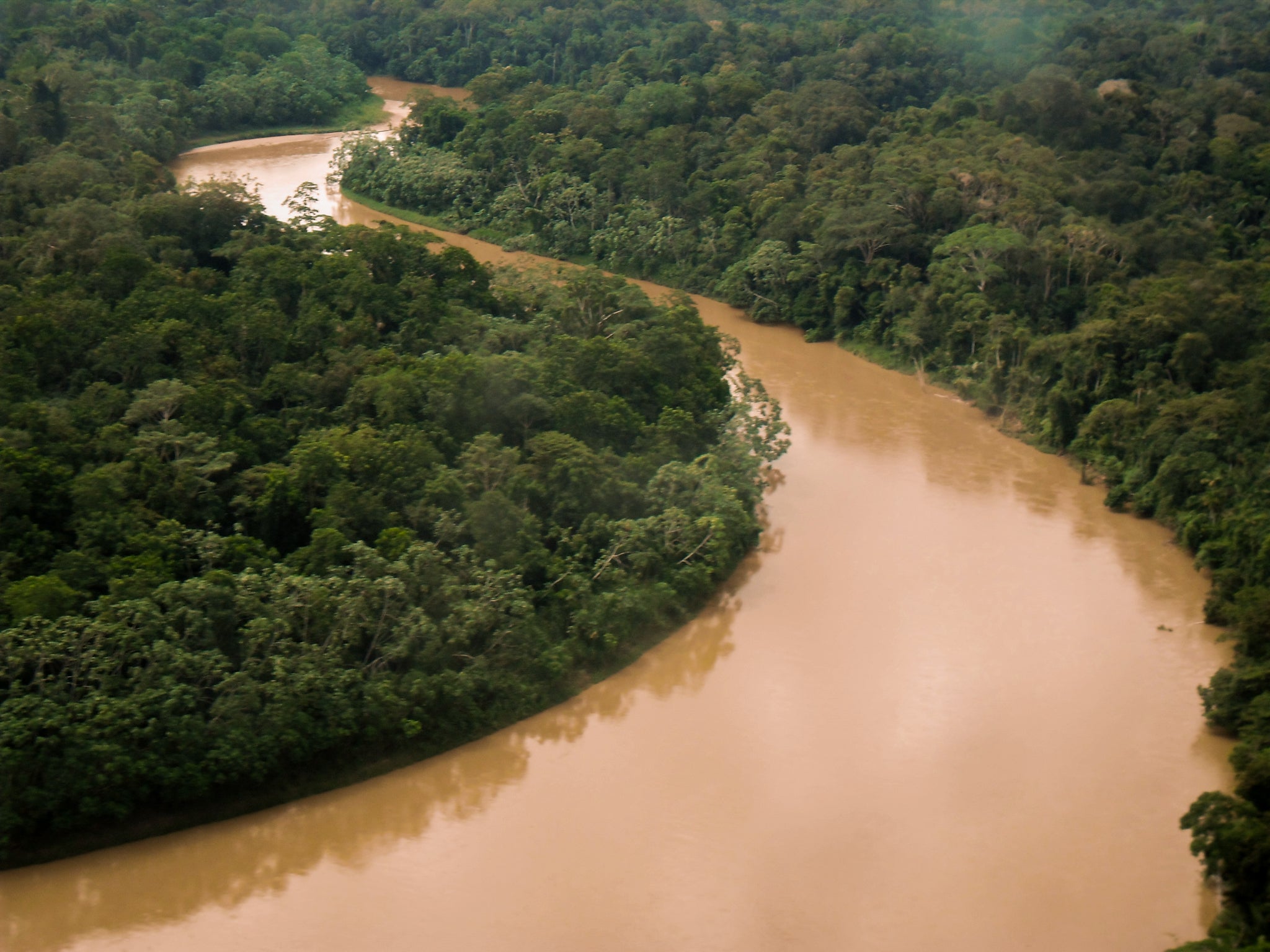 Fabian’s Amazon Journey: Unveiling Preservation and Exploration – rahua.com