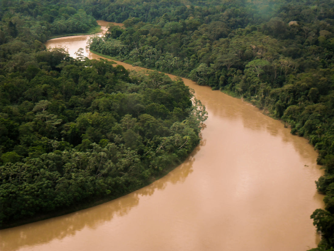 Fabian’s Amazon Journey: Unveiling Preservation and Exploration