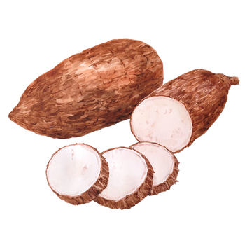 Cassava