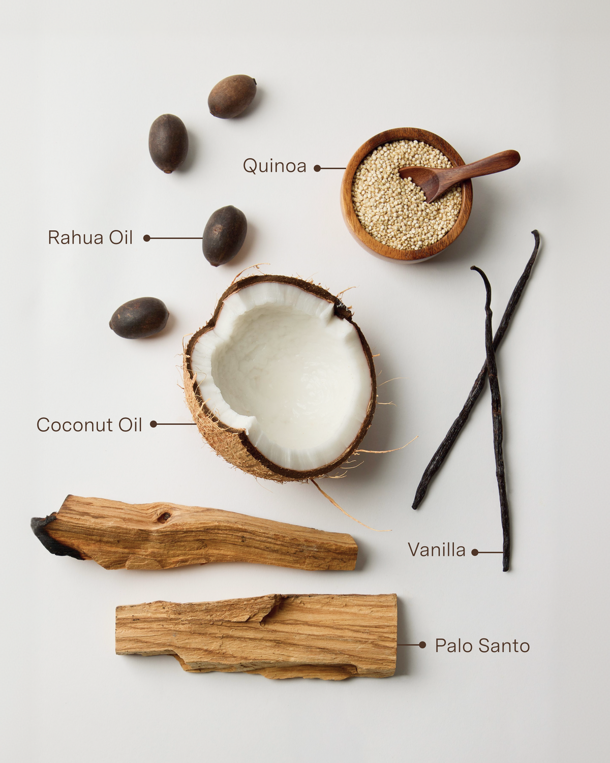 The Root Ritual Kit