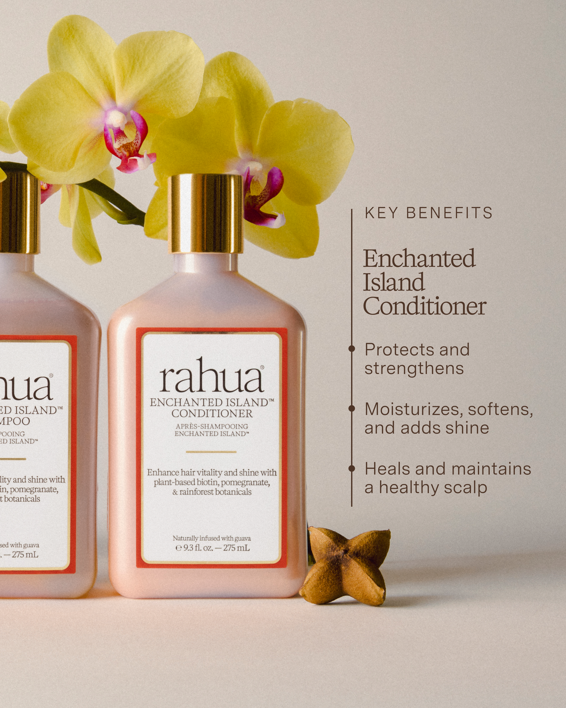 photo of rahua enchanted island conditioner with an orchid on a warm grey background with the key benefits listed out including strength and protection, moisturizing, softening and enhancing shine and healing and maintaining the scalp|variant:93-oz