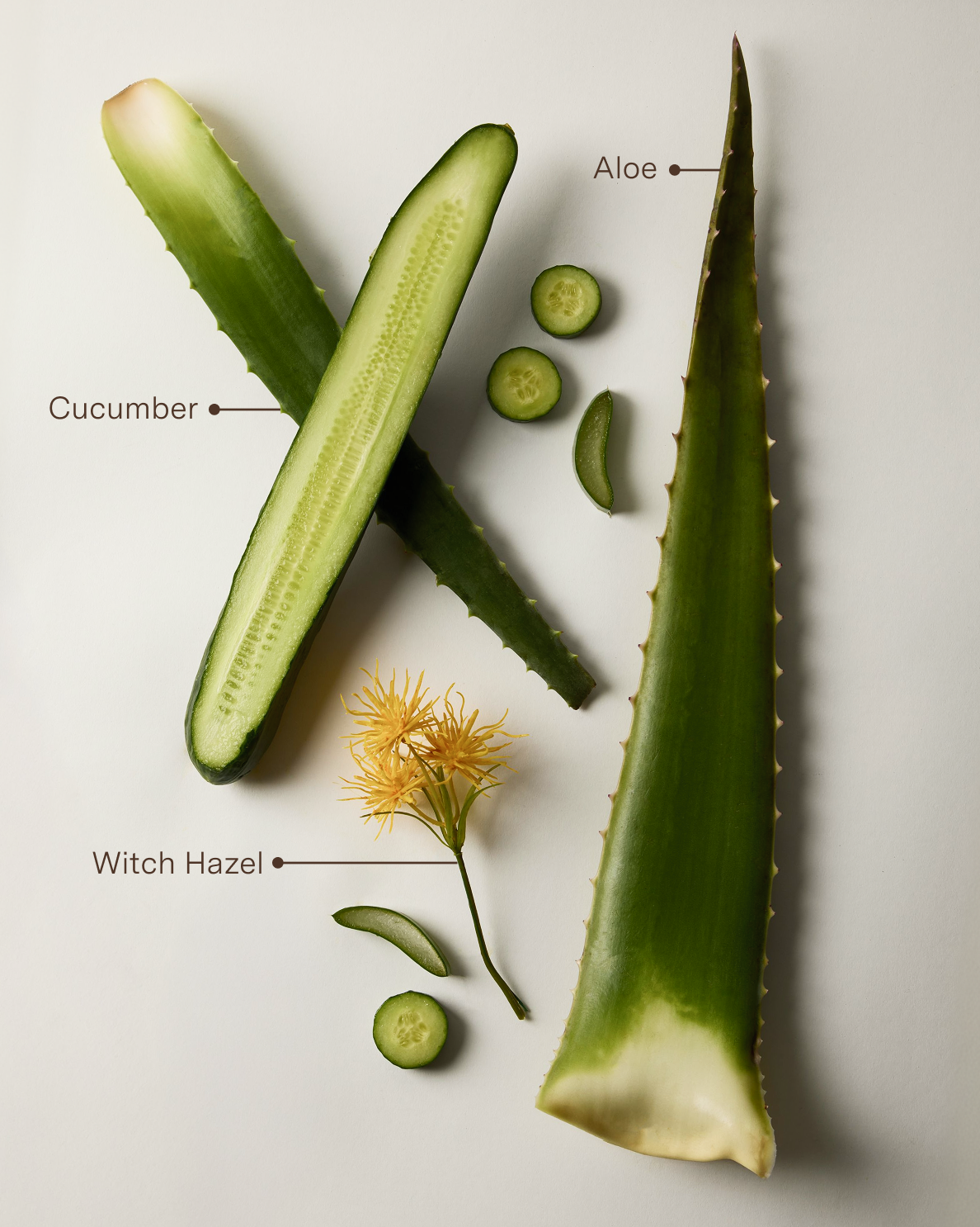Rahua Aloe Vera Shampoo 3.3oz