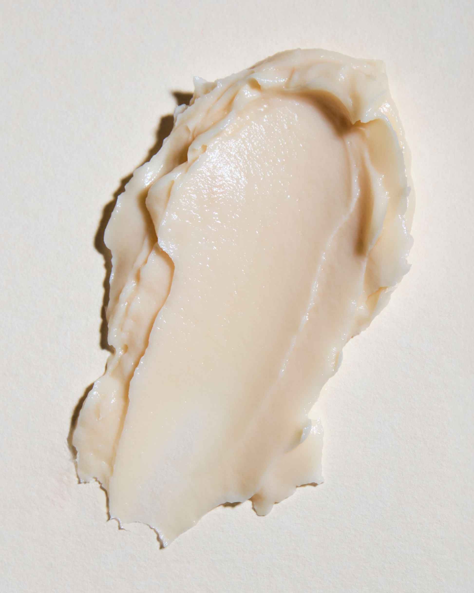 Close-up of a textured beige shell on a light background