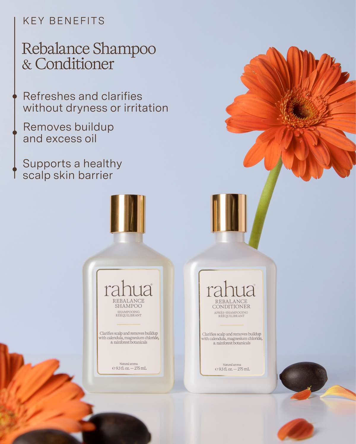 Rebalance Essential Hair Care Set