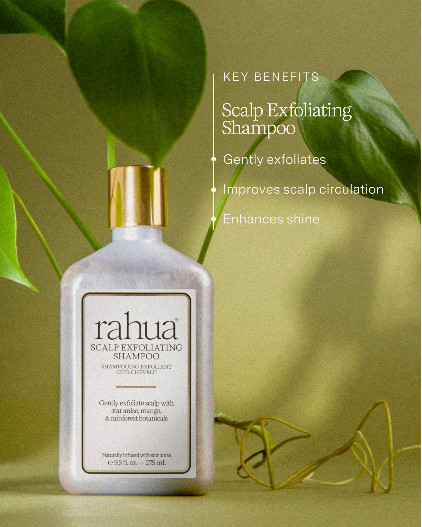 Scalp Exfoliating Shampoo 9.5 oz