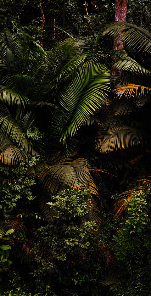 Looking for <br> the right fit?