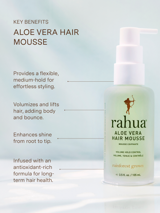 Aloe Vera Hair Mousse